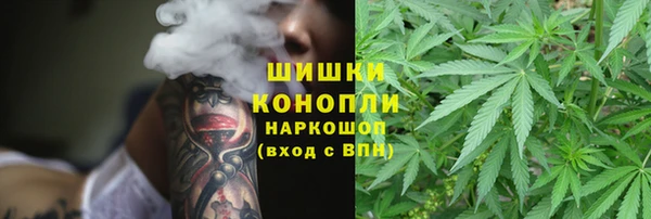 альфа пвп Краснослободск