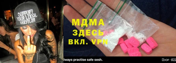 прущие грибы Костерёво