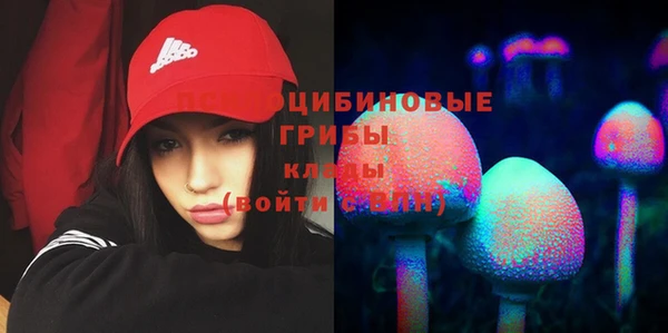 прущие грибы Костерёво
