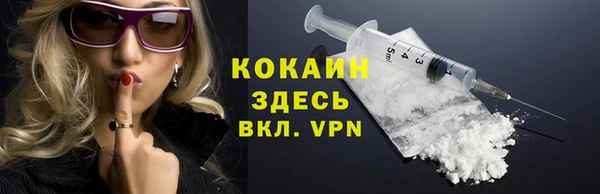 прущие грибы Костерёво