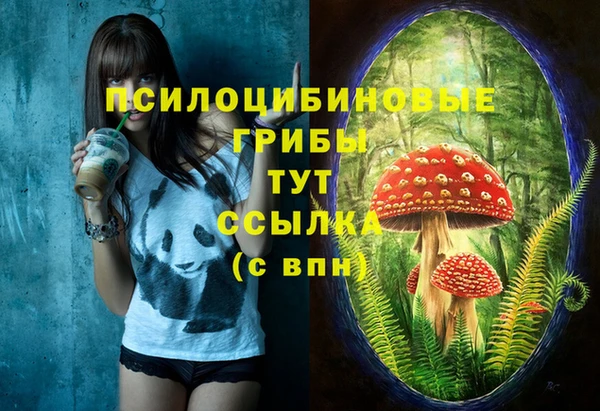прущая мука Коряжма