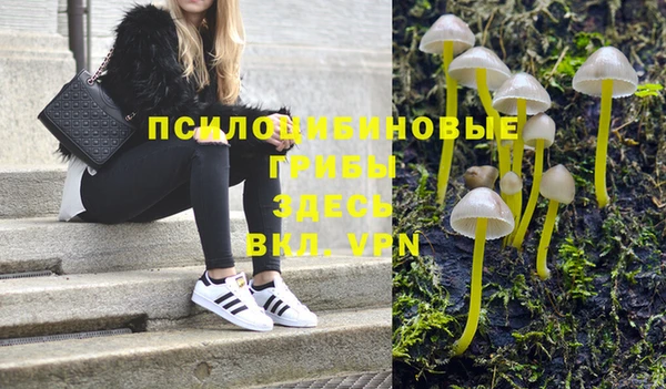 прущие грибы Костерёво