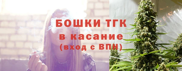 прущие грибы Костерёво