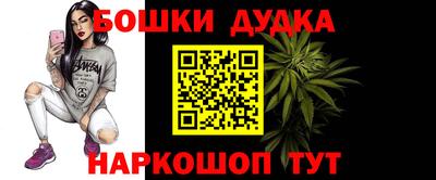 МДПВ Дубна
