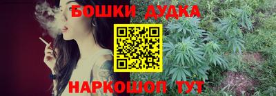 МДПВ Дубна