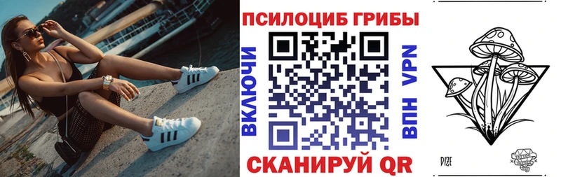 где продают kraken рабочий сайт Псилоцибиновые грибы GOLDEN TEACHER Михайловка