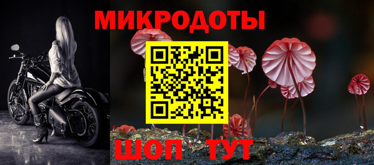Псилоцибиновые грибы Psilocybe  Вход с VPN  купить  сайты  Михайловка 
